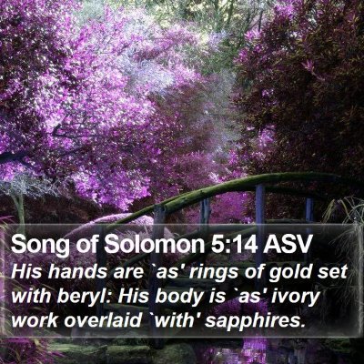 Song of Solomon 5:14 ASV Bible Verse Image