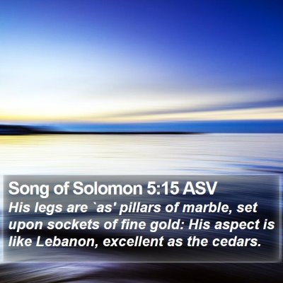 Song of Solomon 5:15 ASV Bible Verse Image