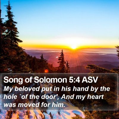 Song of Solomon 5:4 ASV Bible Verse Image