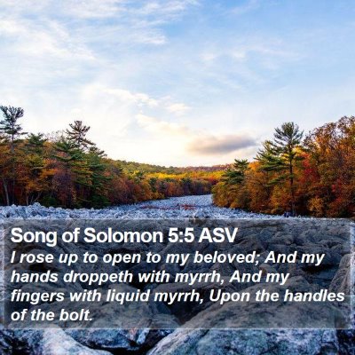 Song of Solomon 5:5 ASV Bible Verse Image