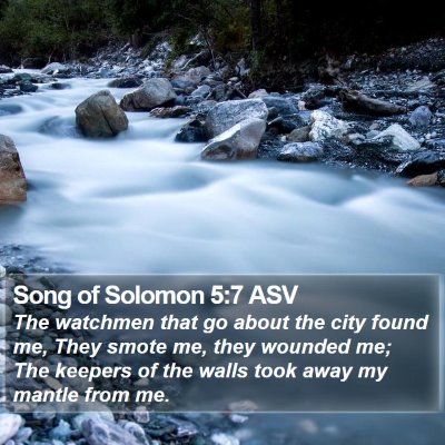 Song of Solomon 5:7 ASV Bible Verse Image