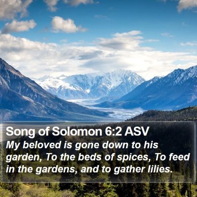 Song of Solomon 6:2 ASV Bible Verse Image