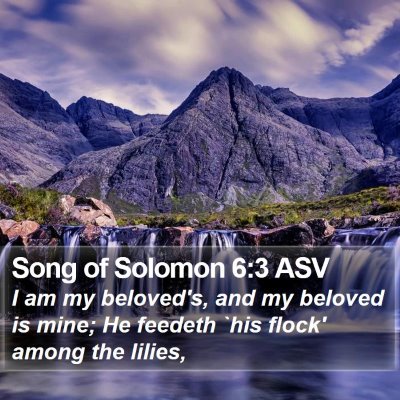 Song of Solomon 6:3 ASV Bible Verse Image