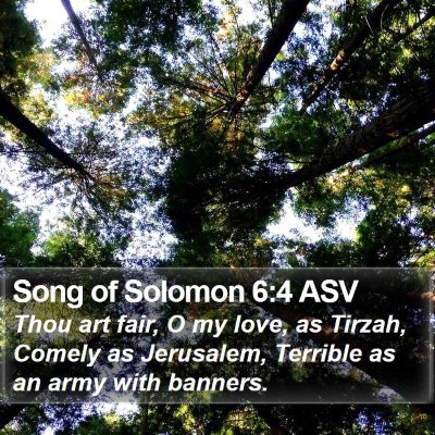 Song of Solomon 6:4 ASV Bible Verse Image