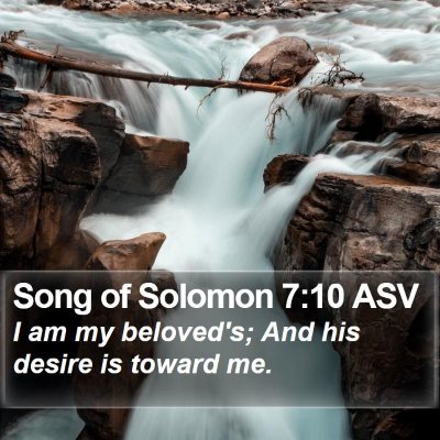Song of Solomon 7:10 ASV Bible Verse Image