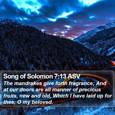 Song of Solomon 7:13 ASV Bible Verse Image