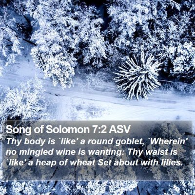 Song of Solomon 7:2 ASV Bible Verse Image
