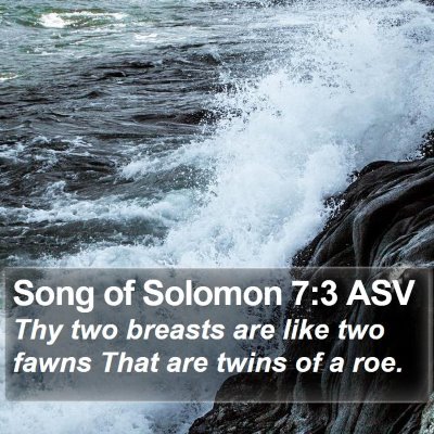 Song of Solomon 7:3 ASV Bible Verse Image