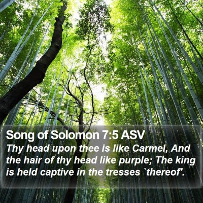 Song of Solomon 7:5 ASV Bible Verse Image