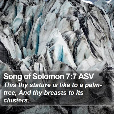 Song of Solomon 7:7 ASV Bible Verse Image