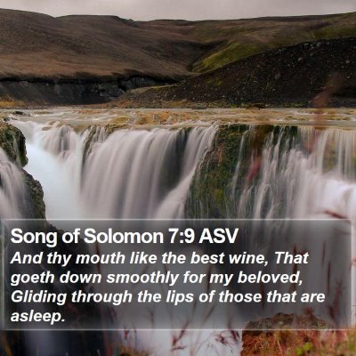 Song of Solomon 7:9 ASV Bible Verse Image