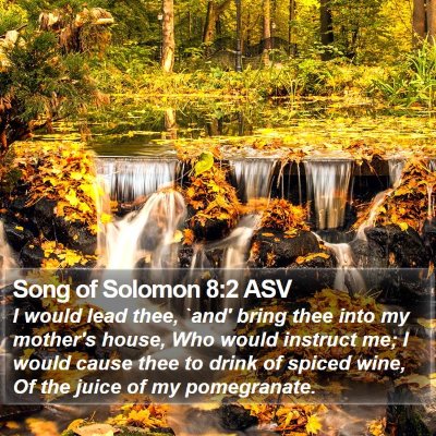 Song of Solomon 8:2 ASV Bible Verse Image