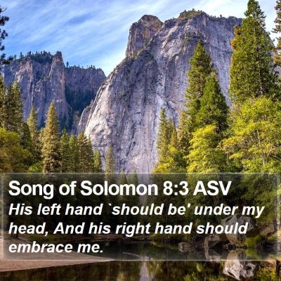 Song of Solomon 8:3 ASV Bible Verse Image