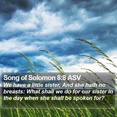 Song of Solomon 8:8 ASV Bible Verse Image