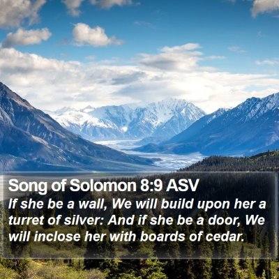 Song of Solomon 8:9 ASV Bible Verse Image