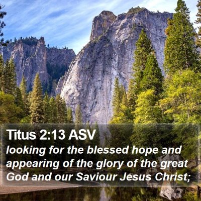 Titus 2:13 ASV Bible Verse Image