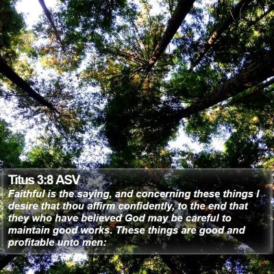 Titus 3:8 ASV Bible Verse Image