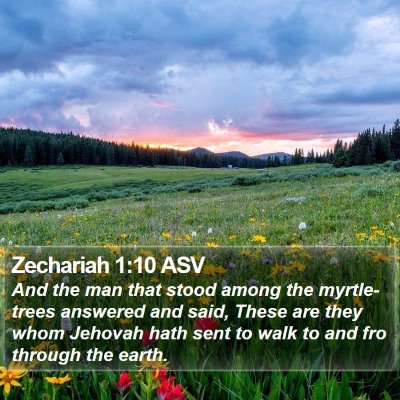 Zechariah 1:10 ASV Bible Verse Image