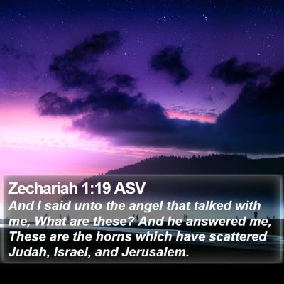 Zechariah 1:19 ASV Bible Verse Image