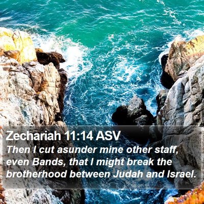Zechariah 11:14 ASV Bible Verse Image