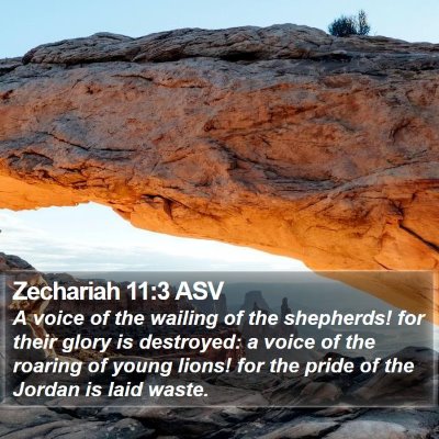 Zechariah 11:3 ASV Bible Verse Image