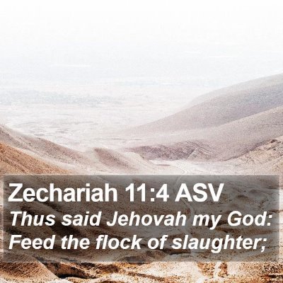 Zechariah 11:4 ASV Bible Verse Image