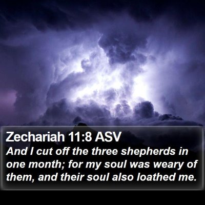 Zechariah 11:8 ASV Bible Verse Image
