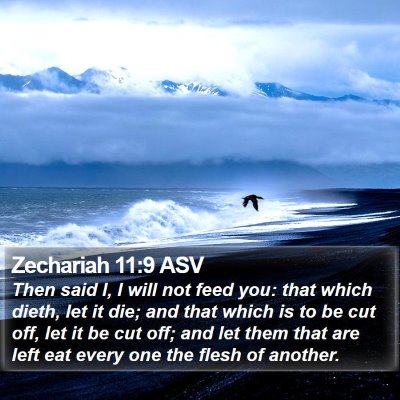 Zechariah 11:9 ASV Bible Verse Image
