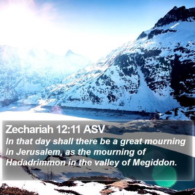 Zechariah 12:11 ASV Bible Verse Image