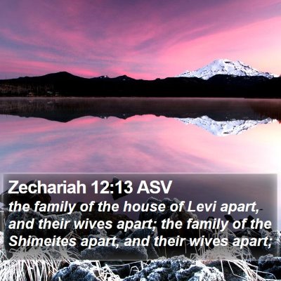 Zechariah 12:13 ASV Bible Verse Image