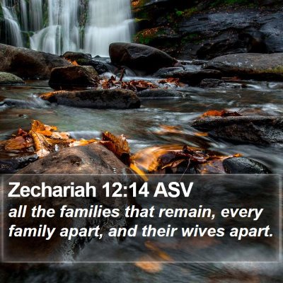 Zechariah 12:14 ASV Bible Verse Image