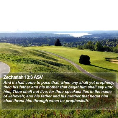 Zechariah 13:3 ASV Bible Verse Image