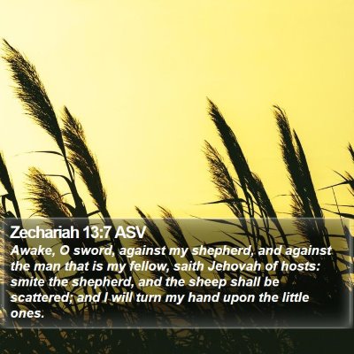 Zechariah 13:7 ASV Bible Verse Image