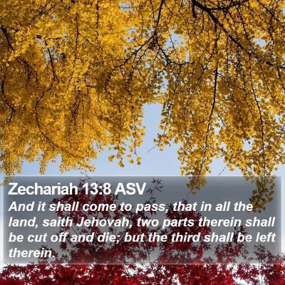 Zechariah 13:8 ASV Bible Verse Image