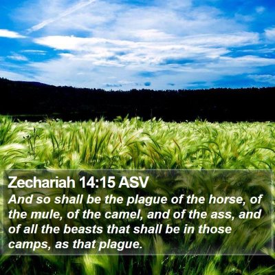 Zechariah 14:15 ASV Bible Verse Image