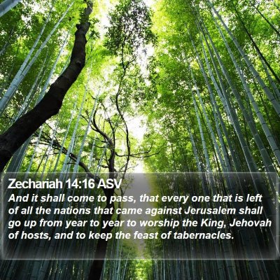 Zechariah 14:16 ASV Bible Verse Image