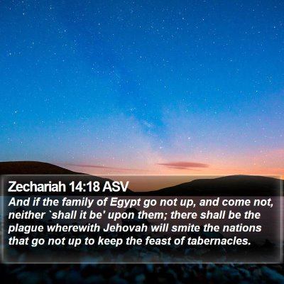Zechariah 14:18 ASV Bible Verse Image
