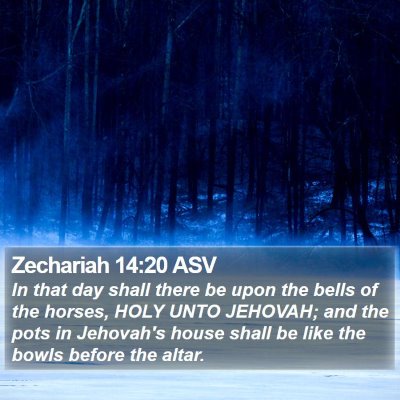 Zechariah 14:20 ASV Bible Verse Image