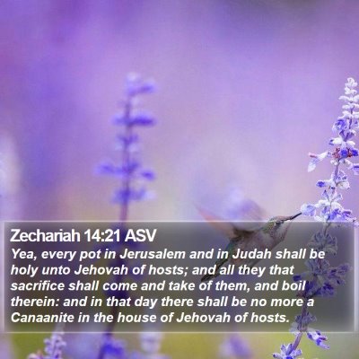 Zechariah 14:21 ASV Bible Verse Image