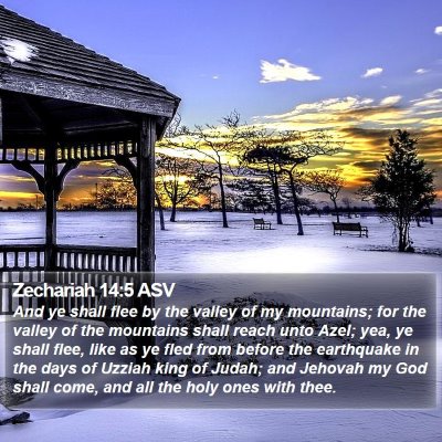 Zechariah 14:5 ASV Bible Verse Image
