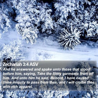 Zechariah 3:4 ASV Bible Verse Image