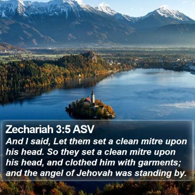 Zechariah 3:5 ASV Bible Verse Image