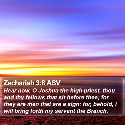 Zechariah 3:8 ASV Bible Verse Image