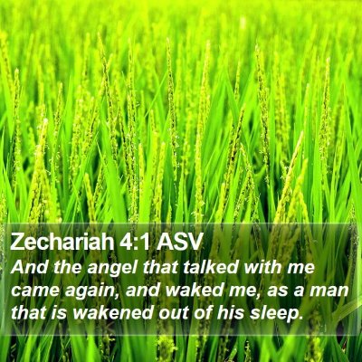 Zechariah 4:1 ASV Bible Verse Image
