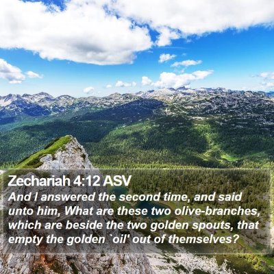 Zechariah 4:12 ASV Bible Verse Image