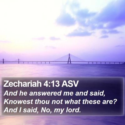Zechariah 4:13 ASV Bible Verse Image