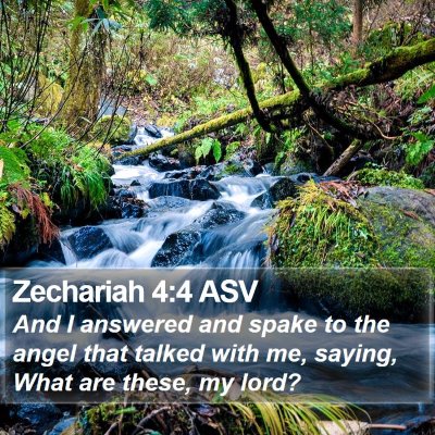 Zechariah 4:4 ASV Bible Verse Image