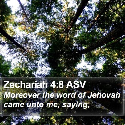 Zechariah 4:8 ASV Bible Verse Image