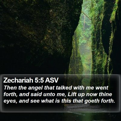Zechariah 5:5 ASV Bible Verse Image