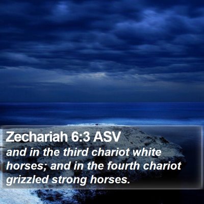 Zechariah 6:3 ASV Bible Verse Image